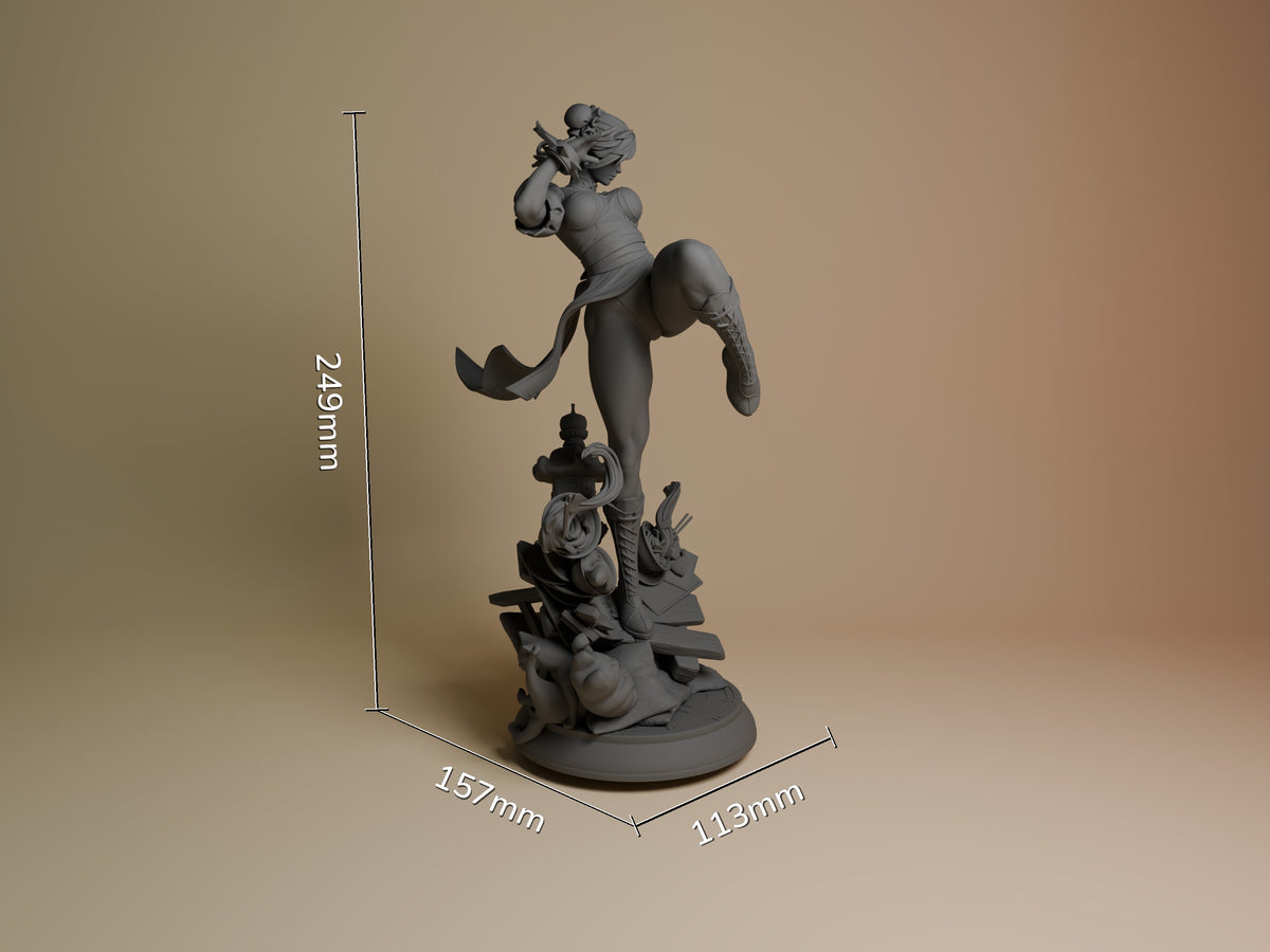 Chun-Li resin figure from Street Fighter shown at scale with dimensions 249mm height, 157mm depth, 113mm width. Unpainted gray resin with dynamic kicking pose on detailed base.