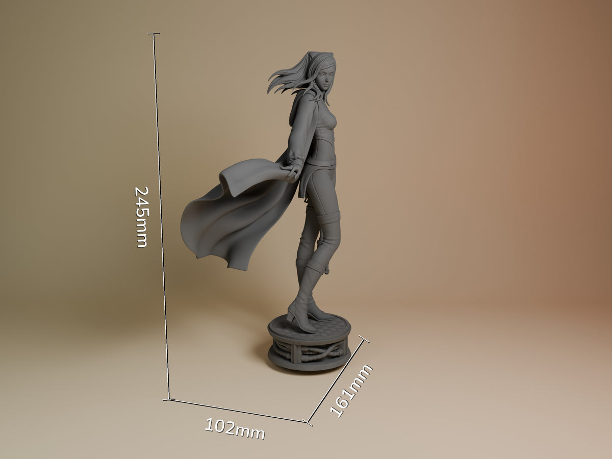 Re-L Mayer resin figure from Ergo Proxy shown at scale with dimensions 245mm height, 102mm width, 161mm depth, unpainted gray finish on circular base.