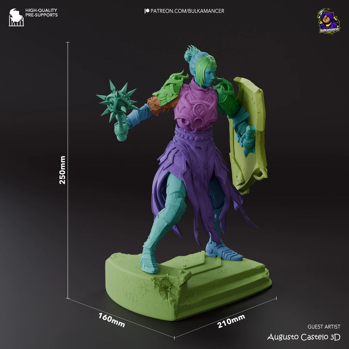 Shadowheart resin figure from Baldur's Gate shown at 250mm height with 160x210mm base, displaying front three-quarter view of painted character in purple armor with spiked mace and shield.