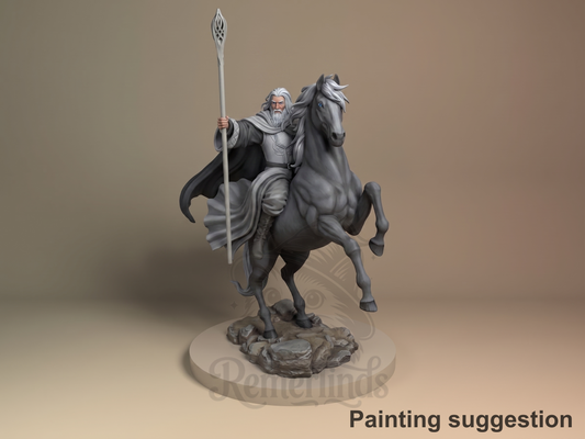 Grey Wizard Legendary Ring Saga 3D printed resin figure by Nomnom, colored view.